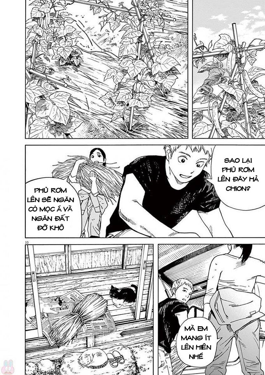 Neko No Otera No Chion-San Chapter 47 - Trang 2