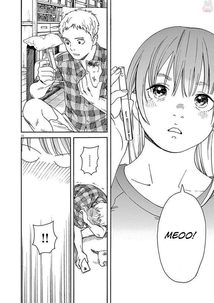 Neko No Otera No Chion-San Chapter 47 - Trang 2