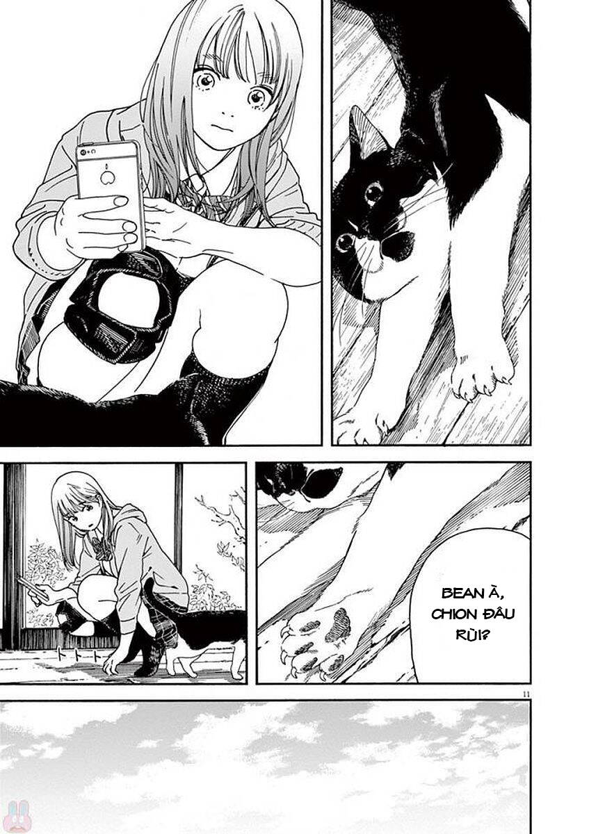 Neko No Otera No Chion-San Chapter 49 - Trang 2