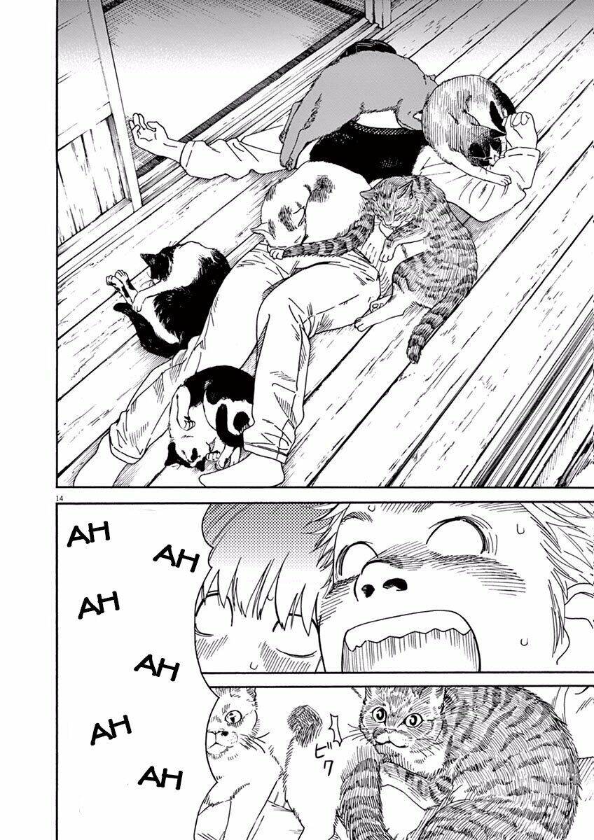 Neko No Otera No Chion-San Chapter 5 - Trang 2