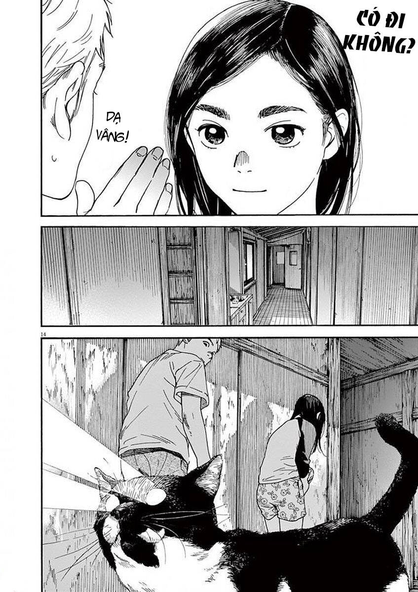 Neko No Otera No Chion-San Chapter 53 - Trang 2