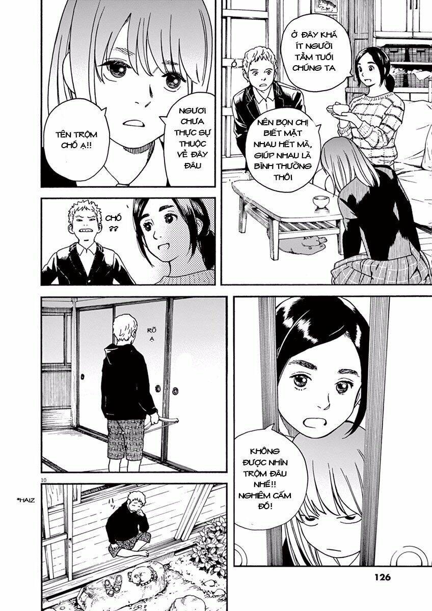 Neko No Otera No Chion-San Chapter 6 - Trang 2