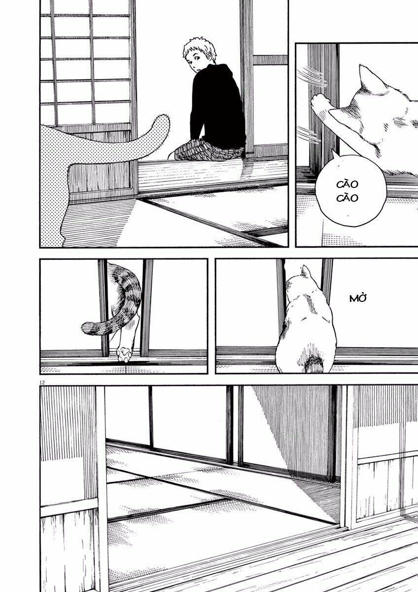 Neko No Otera No Chion-San Chapter 6 - Trang 2