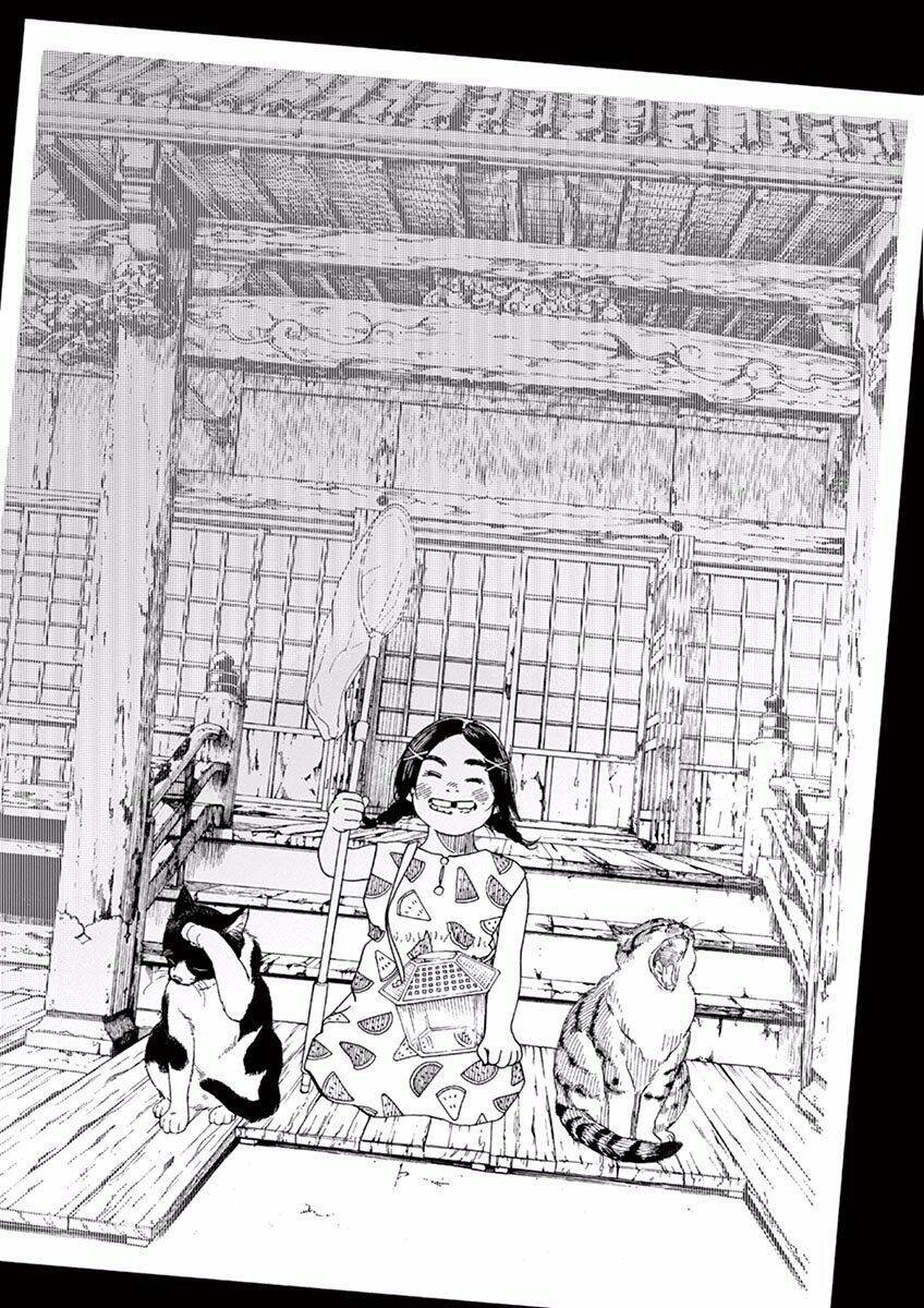 Neko No Otera No Chion-San Chapter 6 - Trang 2