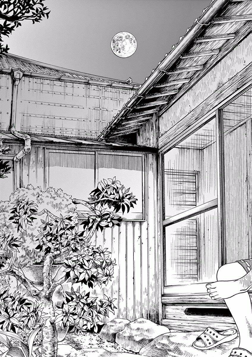 Neko No Otera No Chion-San Chapter 7 - Trang 2