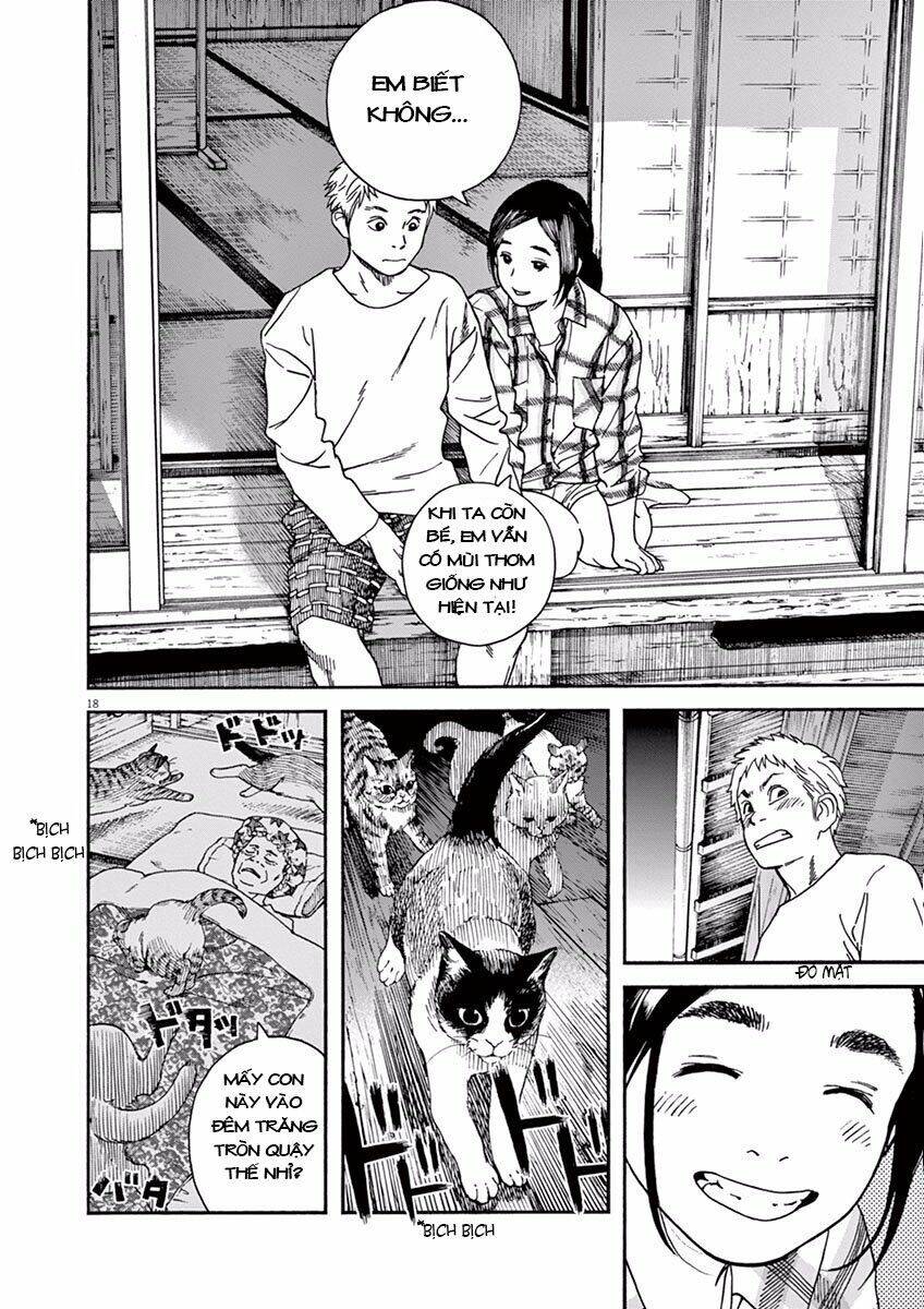 Neko No Otera No Chion-San Chapter 7 - Trang 2