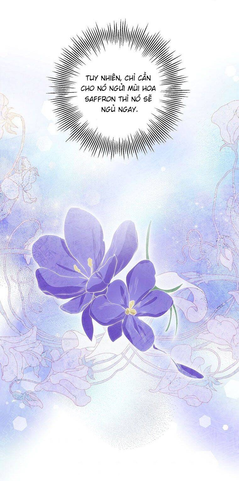 Nếu Tháo Đi Lớp  Tử Tế Của Nam Chính Chapter 13 - Trang 2