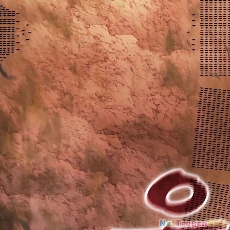 Ngã Lão Ma Thần Chapter 246.1 - Trang 2