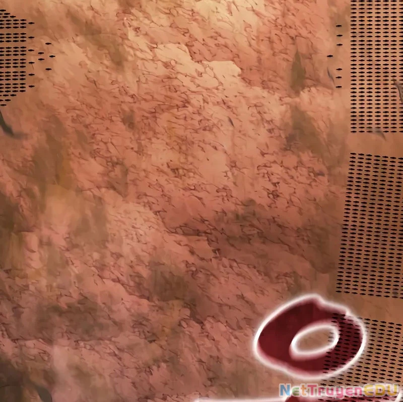 Ngã Lão Ma Thần Chapter 246 - Trang 2