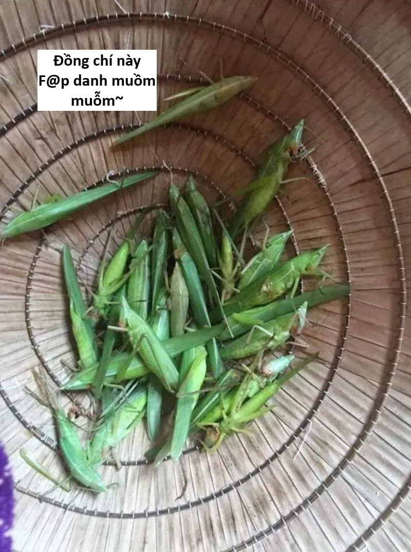 Ngay Cả Khi Hậu Tận Thế, Thật Hạnh Phúc Khi Vẫn Còn Được Sống… (Puchimasu Miếu) Chapter 51.1 - Trang 2