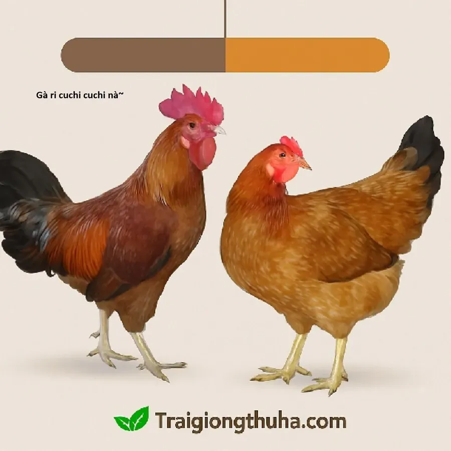 Ngay Cả Khi Hậu Tận Thế, Thật Hạnh Phúc Khi Vẫn Còn Được Sống… (Puchimasu Miếu) Chapter 51.1 - Trang 2