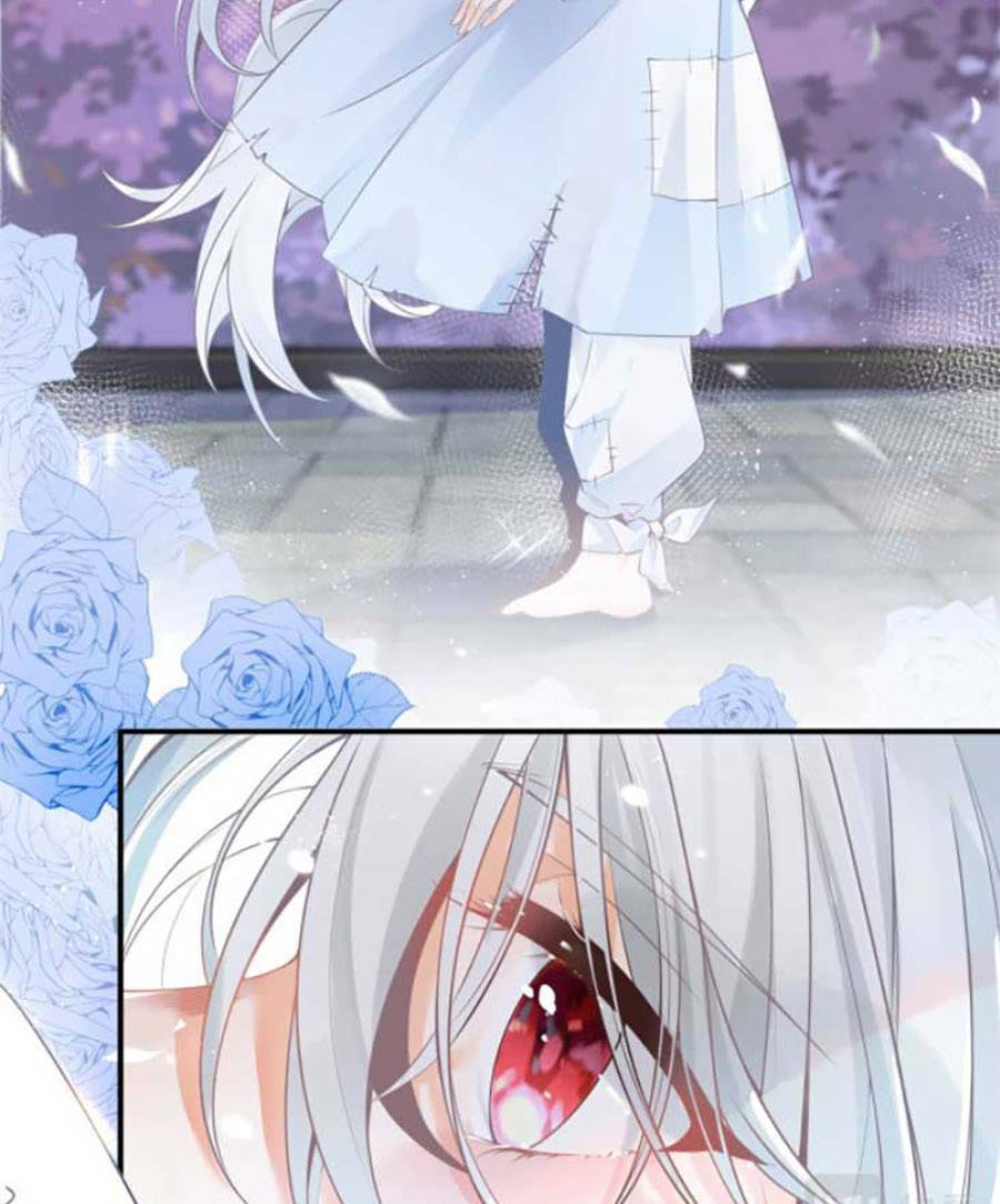 Ngày Nào Đó Trở Thành Công Chúa Tế Phẩm Chapter 1 - Trang 2