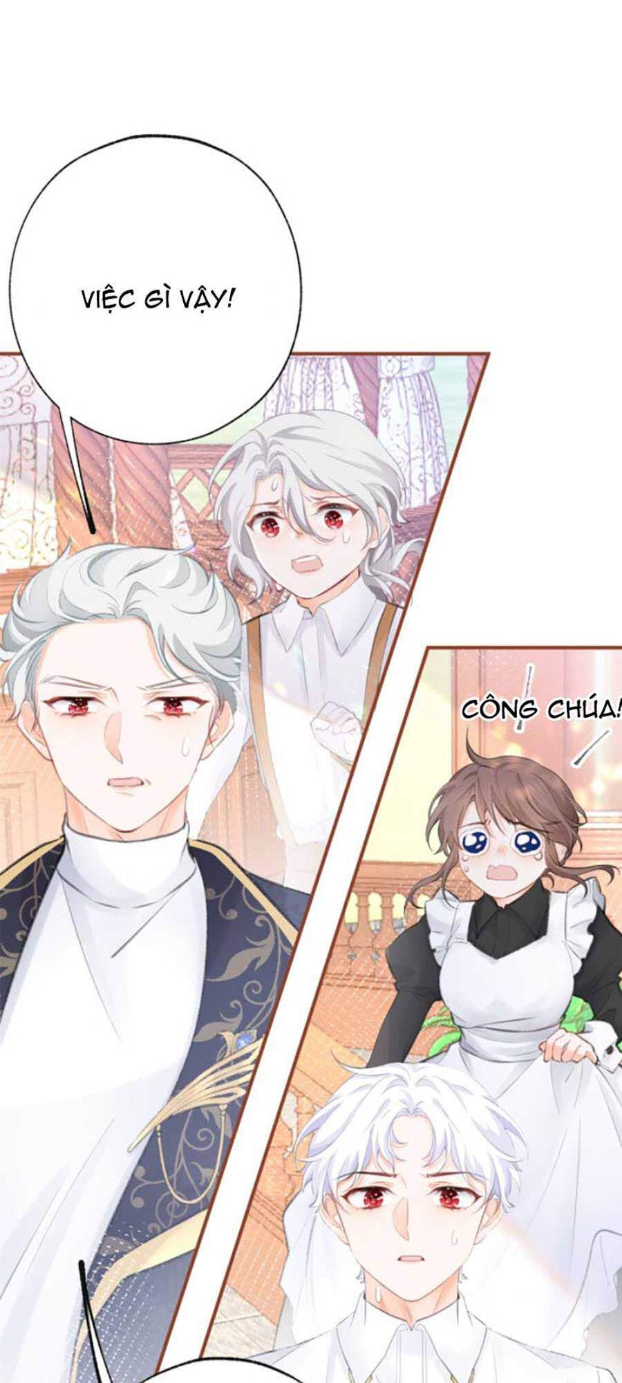 Ngày Nào Đó Trở Thành Công Chúa Tế Phẩm Chapter 11 - Trang 2