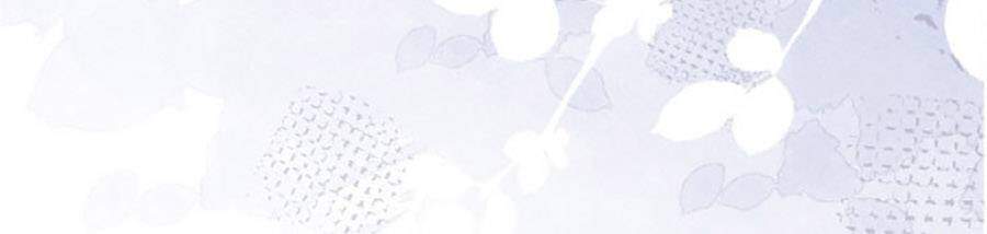 Ngày Nào Đó Trở Thành Công Chúa Tế Phẩm Chapter 11 - Trang 2