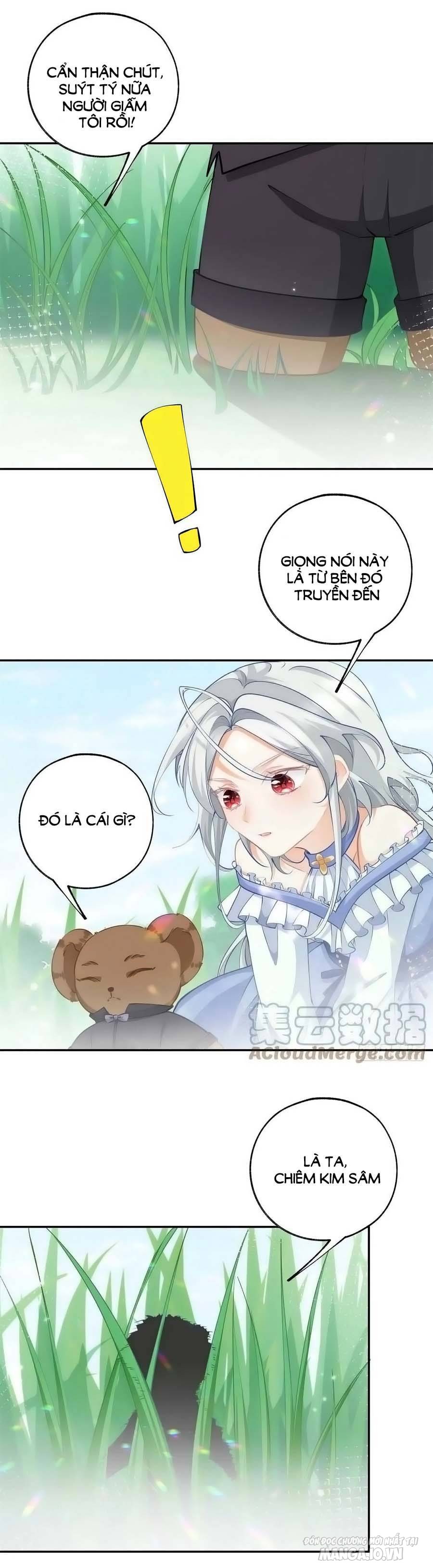 Ngày Nào Đó Trở Thành Công Chúa Tế Phẩm Chapter 137 - Trang 2