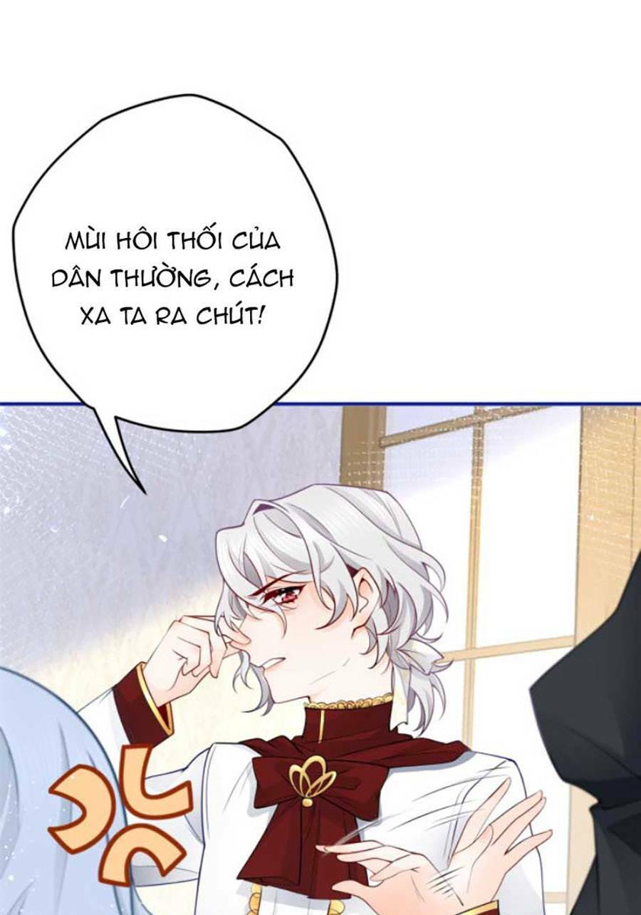 Ngày Nào Đó Trở Thành Công Chúa Tế Phẩm Chapter 2 - Trang 2