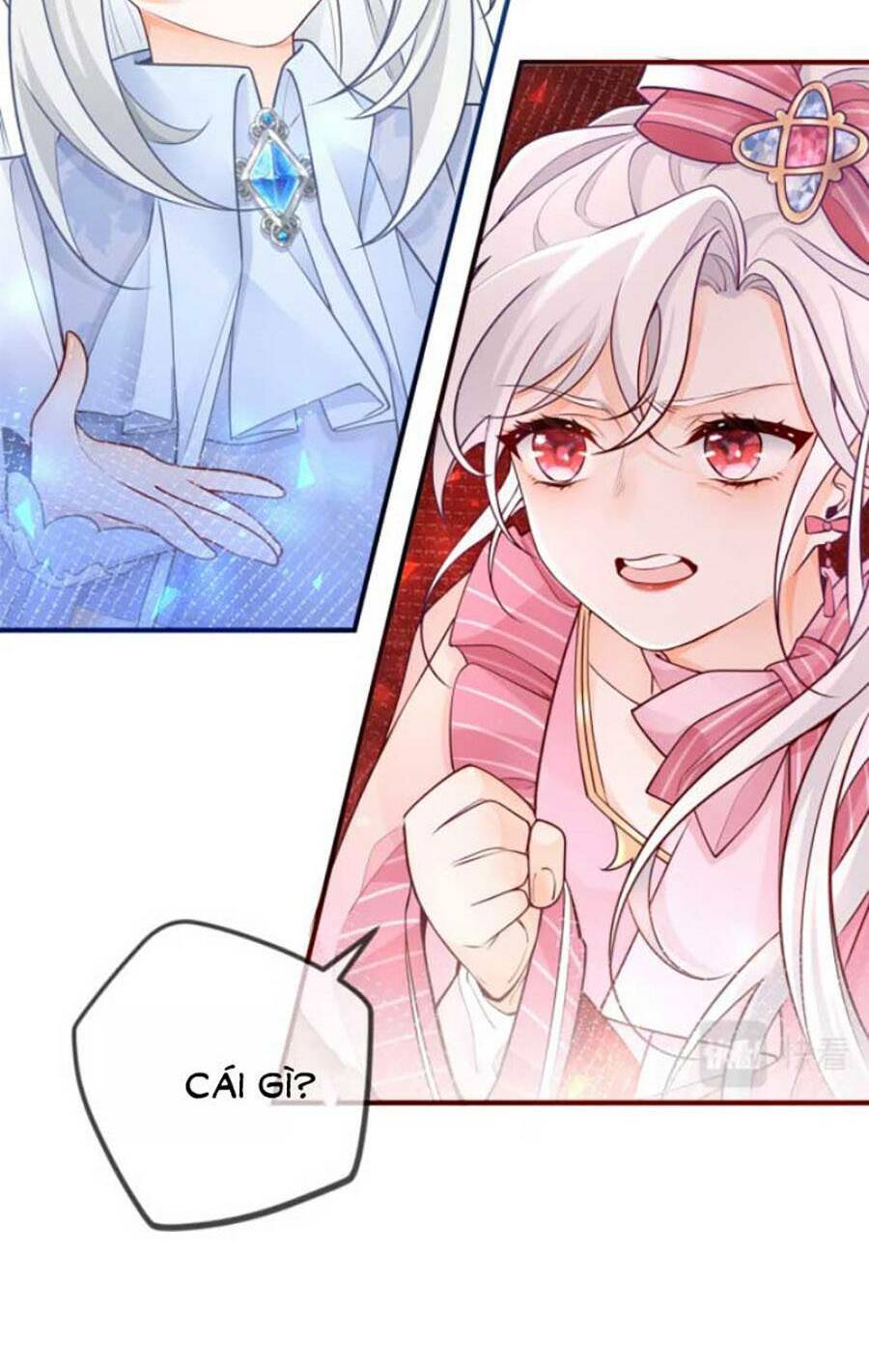 Ngày Nào Đó Trở Thành Công Chúa Tế Phẩm Chapter 3 - Trang 2