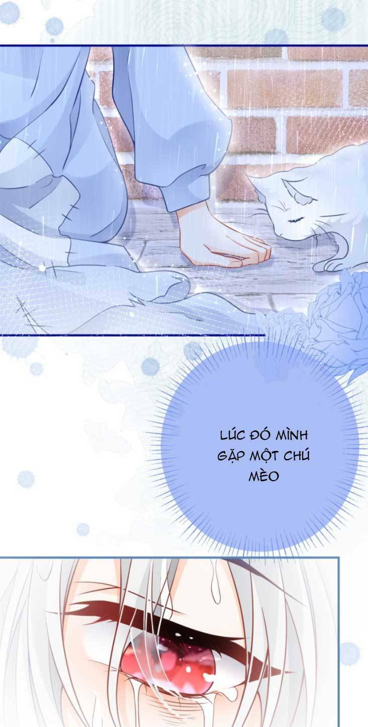 Ngày Nào Đó Trở Thành Công Chúa Tế Phẩm Chapter 6 - Trang 2