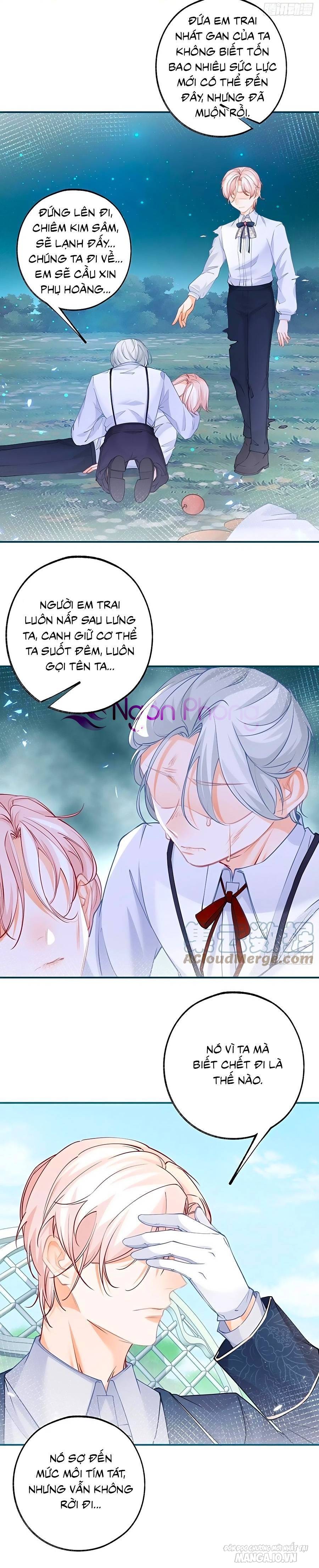 Ngày Nào Đó Trở Thành Công Chúa Tế Phẩm Chapter 98 - Trang 2