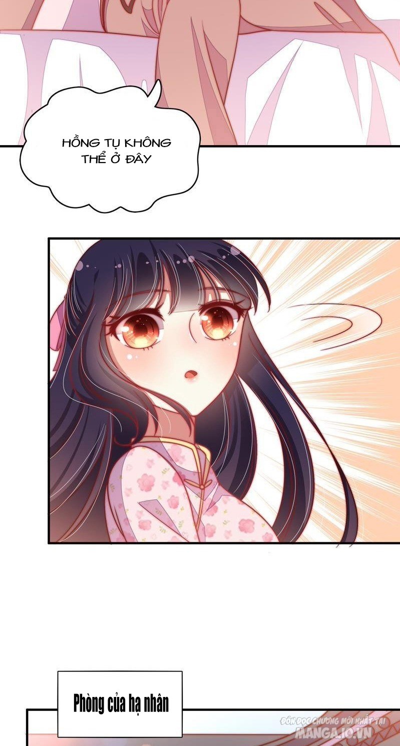 Ngày Nào Thiếu Soái Cũng Ghen Chapter 102 - Trang 2