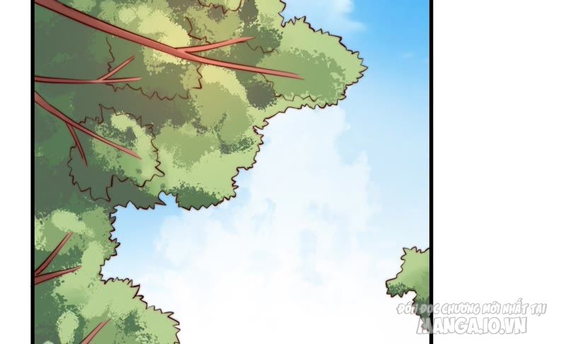 Ngày Nào Thiếu Soái Cũng Ghen Chapter 12 - Trang 2