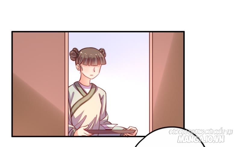 Ngày Nào Thiếu Soái Cũng Ghen Chapter 12 - Trang 2