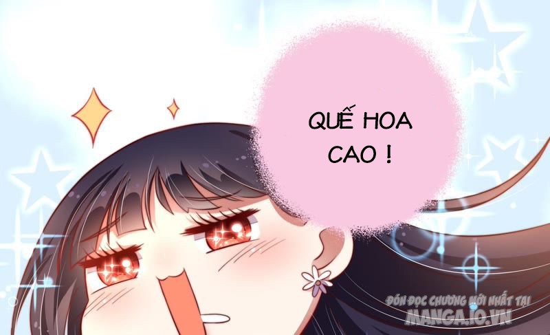 Ngày Nào Thiếu Soái Cũng Ghen Chapter 12 - Trang 2