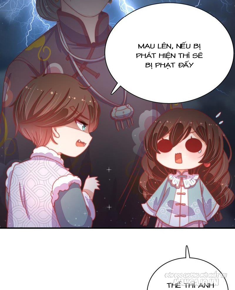 Ngày Nào Thiếu Soái Cũng Ghen Chapter 120 - Trang 2