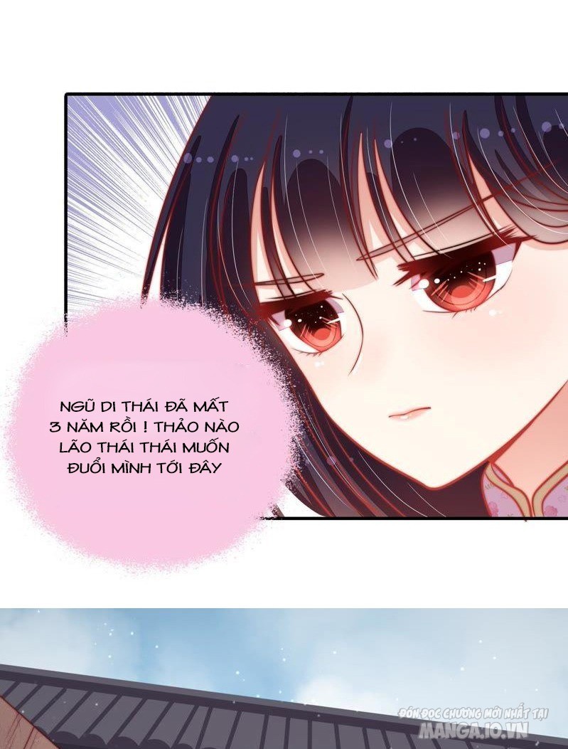 Ngày Nào Thiếu Soái Cũng Ghen Chapter 132 - Trang 2