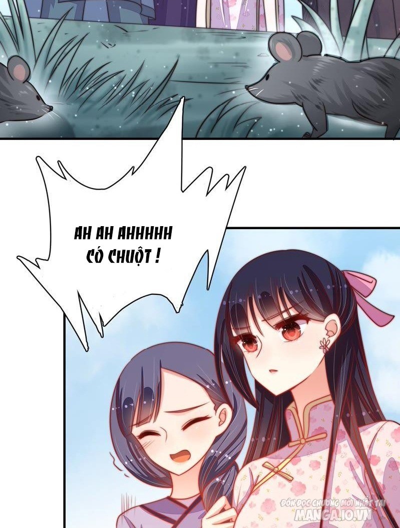 Ngày Nào Thiếu Soái Cũng Ghen Chapter 132 - Trang 2