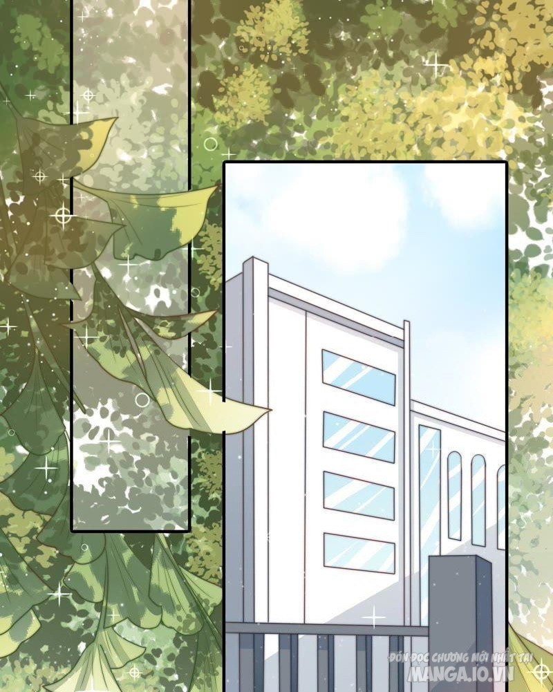 Ngày Nào Thiếu Soái Cũng Ghen Chapter 133 - Trang 2