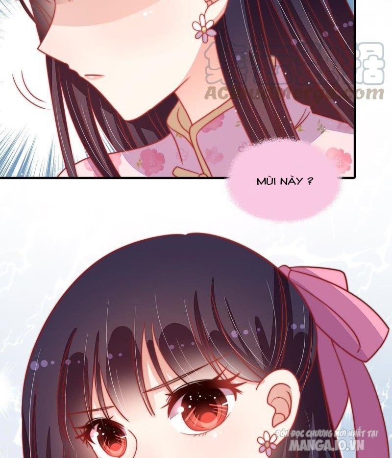 Ngày Nào Thiếu Soái Cũng Ghen Chapter 134 - Trang 2