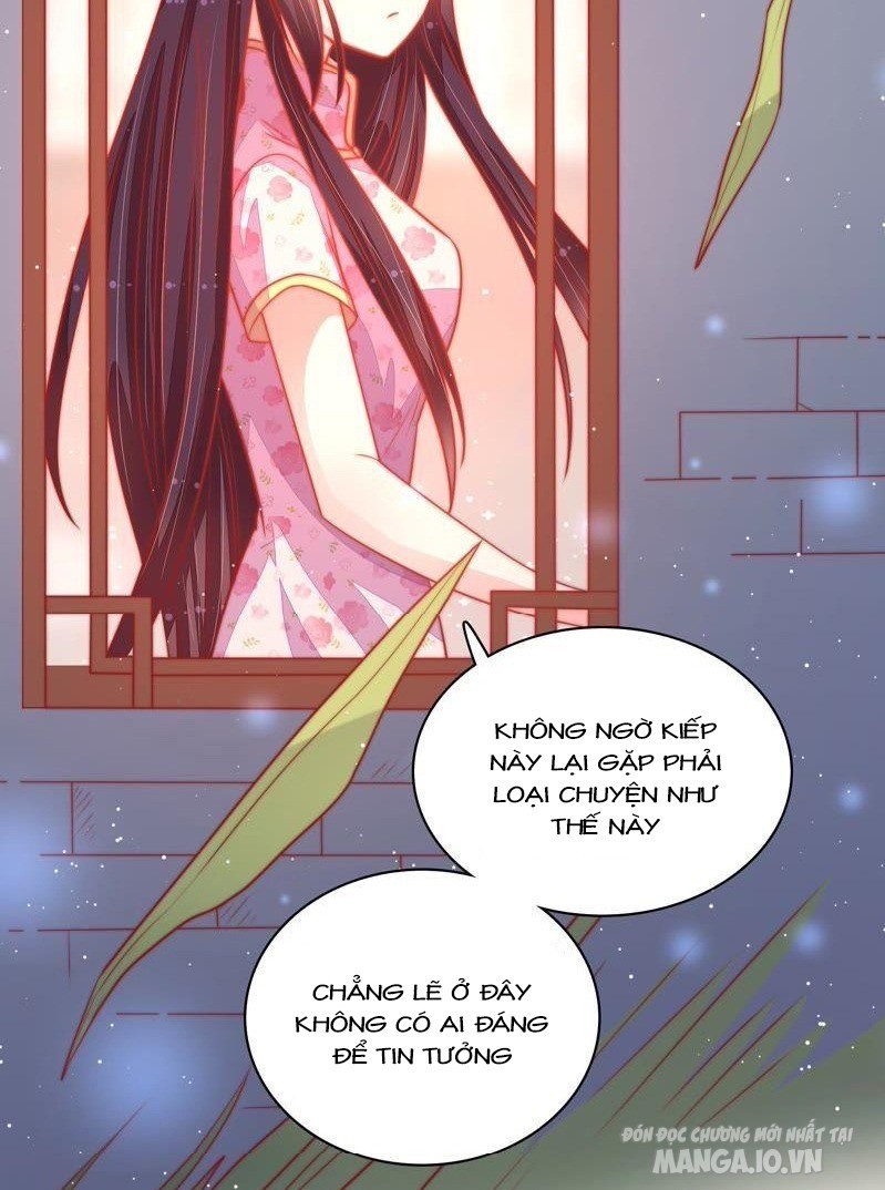 Ngày Nào Thiếu Soái Cũng Ghen Chapter 137 - Trang 2