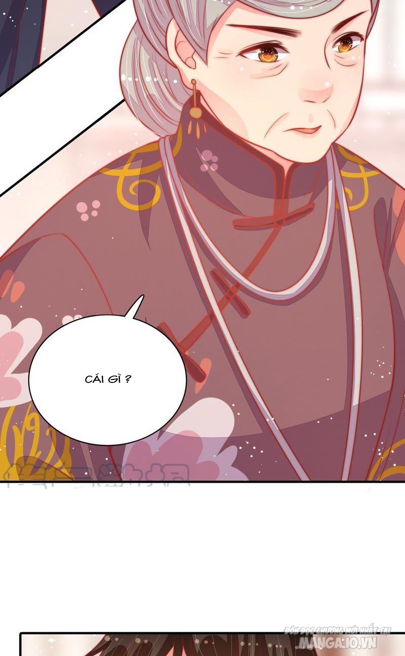 Ngày Nào Thiếu Soái Cũng Ghen Chapter 142 - Trang 2