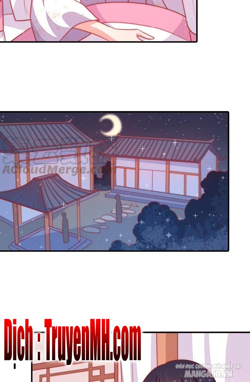 Ngày Nào Thiếu Soái Cũng Ghen Chapter 146 - Trang 2