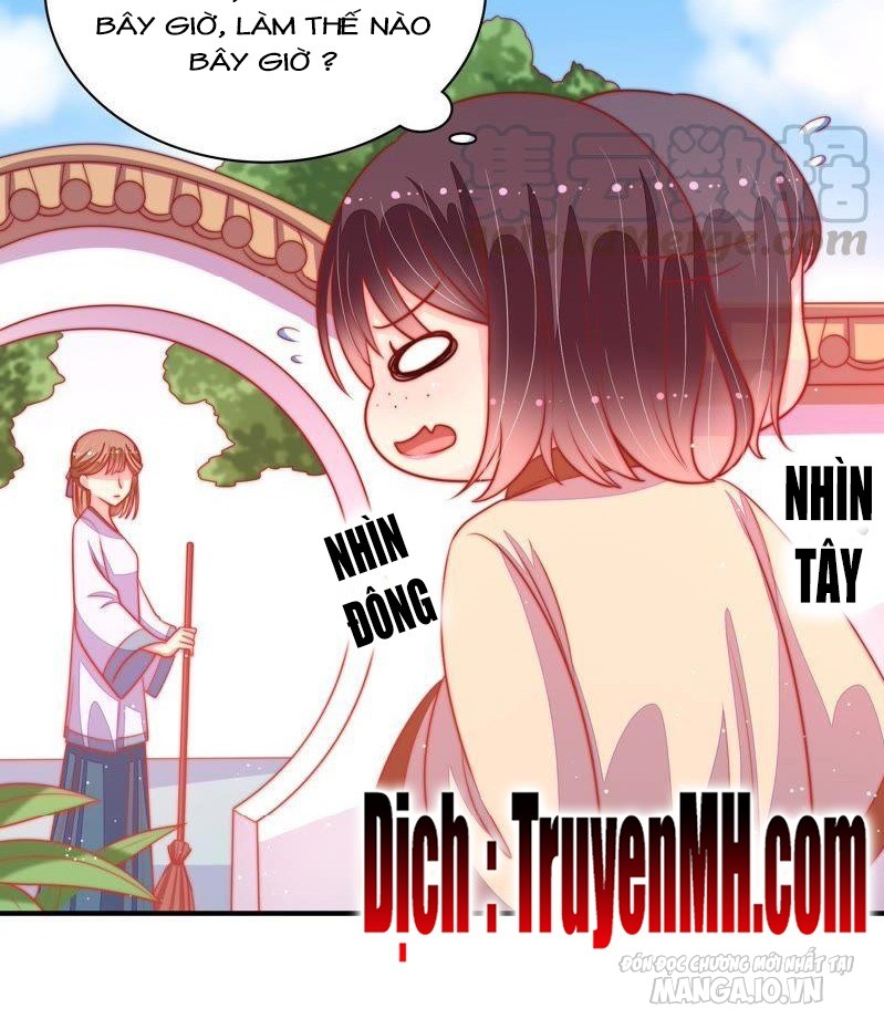 Ngày Nào Thiếu Soái Cũng Ghen Chapter 151 - Trang 2