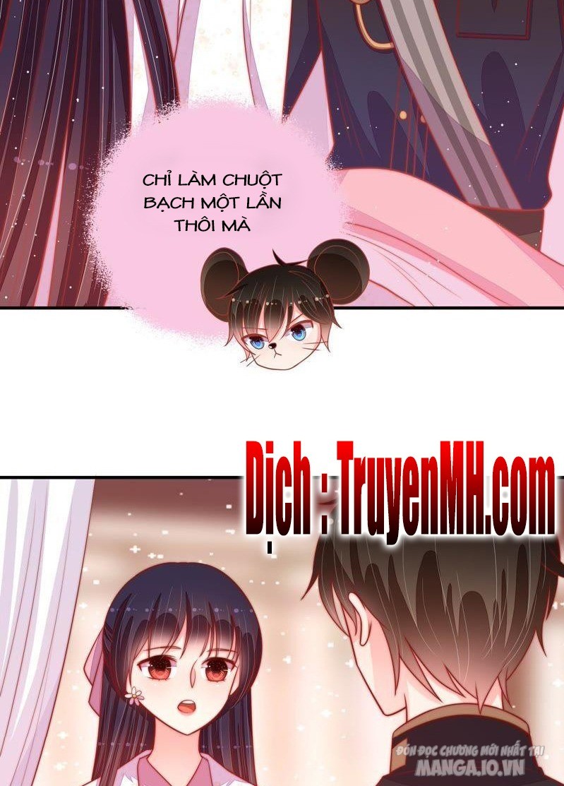 Ngày Nào Thiếu Soái Cũng Ghen Chapter 153 - Trang 2