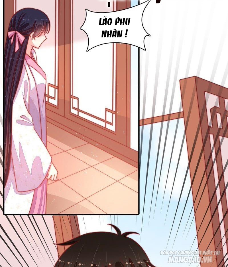 Ngày Nào Thiếu Soái Cũng Ghen Chapter 155 - Trang 2