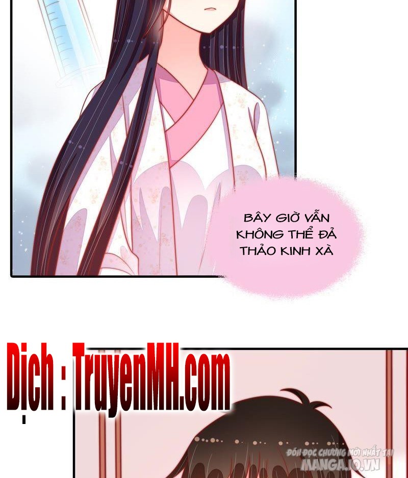 Ngày Nào Thiếu Soái Cũng Ghen Chapter 155 - Trang 2