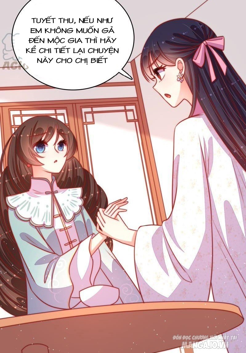 Ngày Nào Thiếu Soái Cũng Ghen Chapter 164 - Trang 2