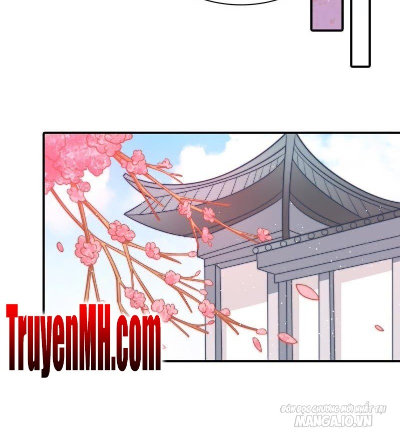 Ngày Nào Thiếu Soái Cũng Ghen Chapter 165 - Trang 2