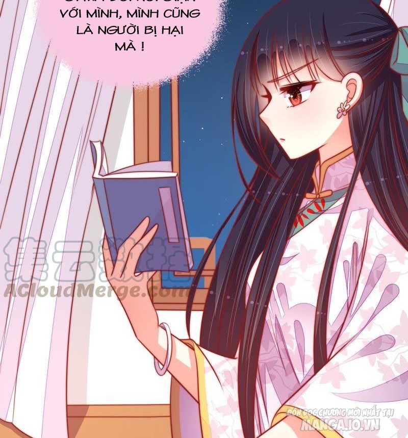 Ngày Nào Thiếu Soái Cũng Ghen Chapter 167 - Trang 2