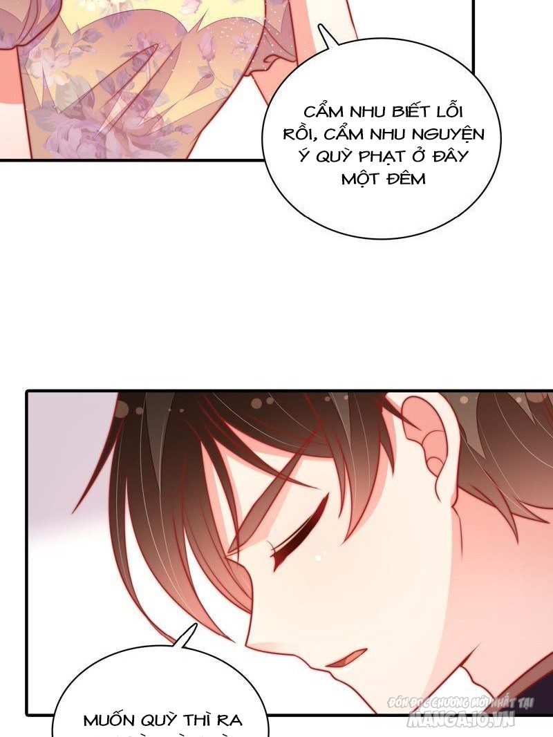 Ngày Nào Thiếu Soái Cũng Ghen Chapter 175 - Trang 2