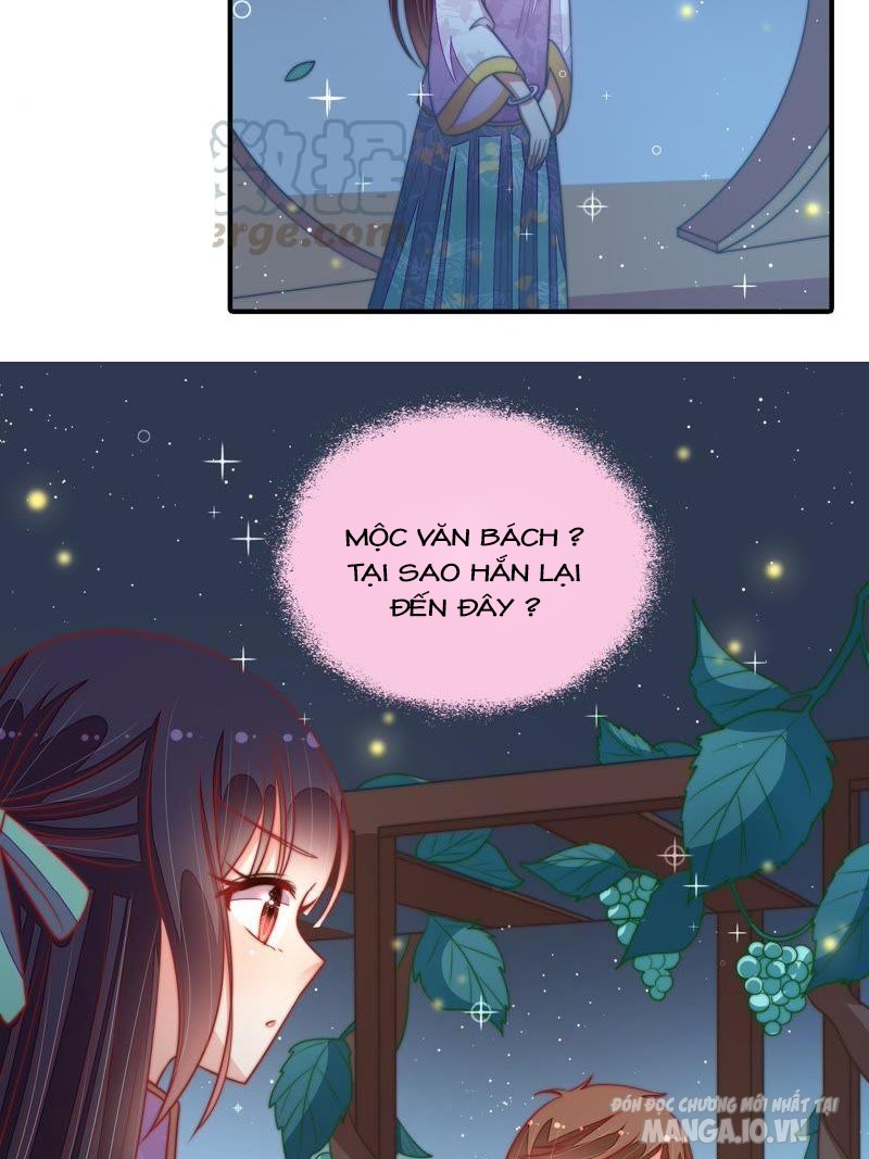 Ngày Nào Thiếu Soái Cũng Ghen Chapter 175 - Trang 2