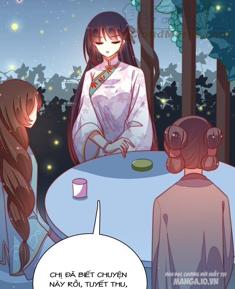 Ngày Nào Thiếu Soái Cũng Ghen Chapter 177 - Trang 2