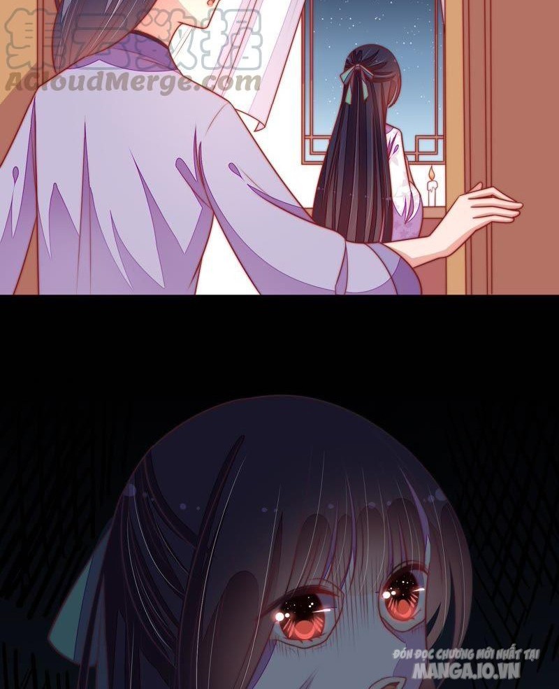 Ngày Nào Thiếu Soái Cũng Ghen Chapter 177 - Trang 2