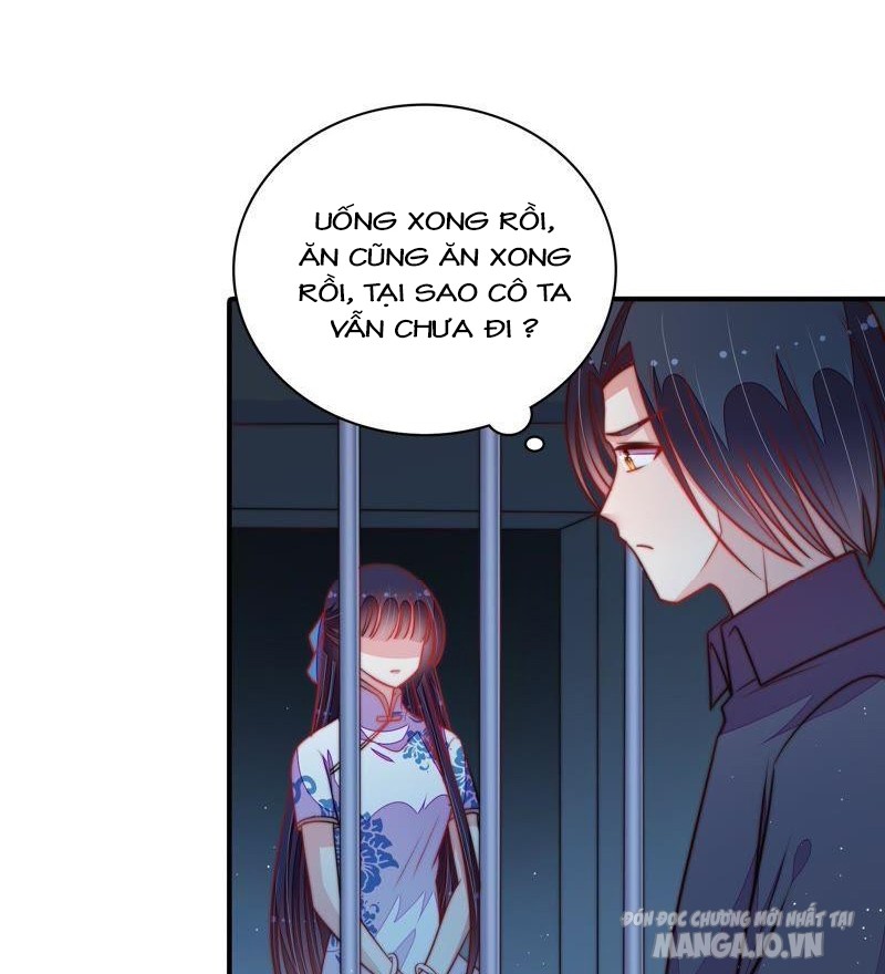 Ngày Nào Thiếu Soái Cũng Ghen Chapter 182 - Trang 2