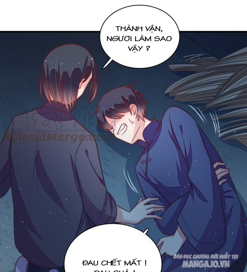 Ngày Nào Thiếu Soái Cũng Ghen Chapter 182 - Trang 2
