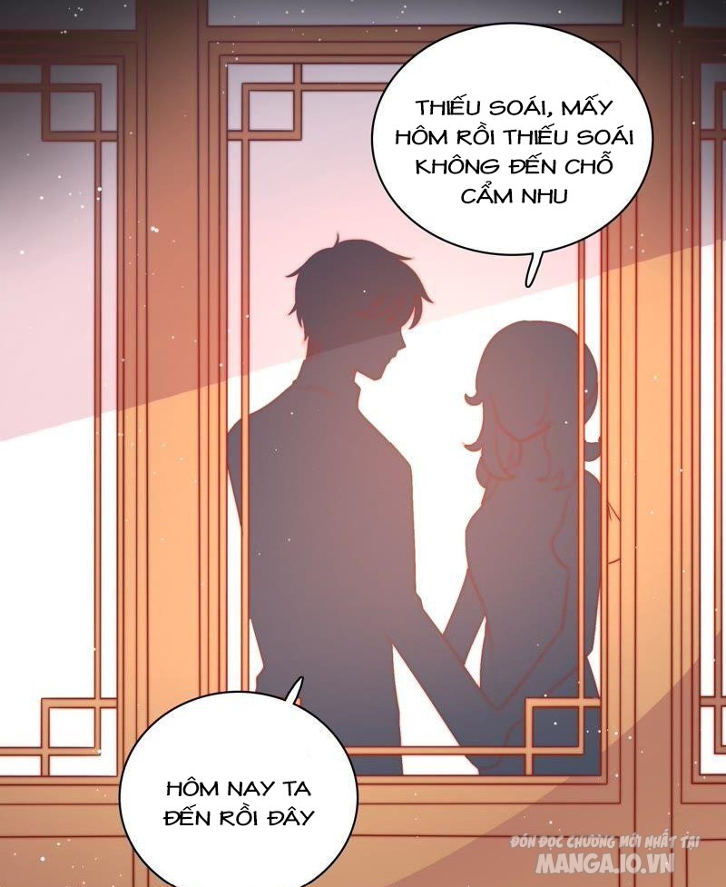 Ngày Nào Thiếu Soái Cũng Ghen Chapter 186 - Trang 2