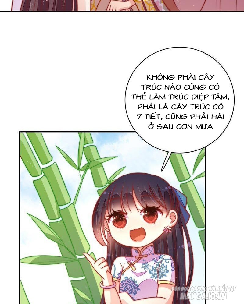 Ngày Nào Thiếu Soái Cũng Ghen Chapter 188 - Trang 2